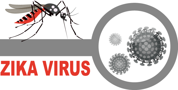 Ảnh 1 của Virus Zika